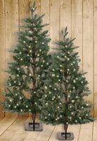 Flat Trees