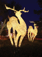 Giant Metal Sculptured Deer
